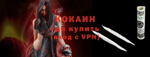 стаф Кодинск