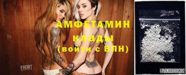 индика Козельск