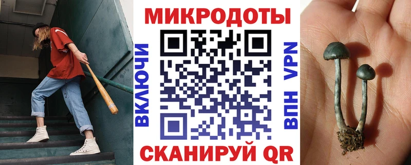 Псилоцибиновые грибы GOLDEN TEACHER Петровск