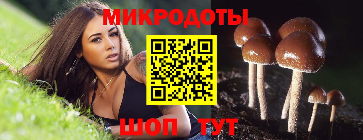 Псилоцибиновые грибы прущие грибы  Галлюциногенные грибы ЛСД  Петровск  Вход с VPN 